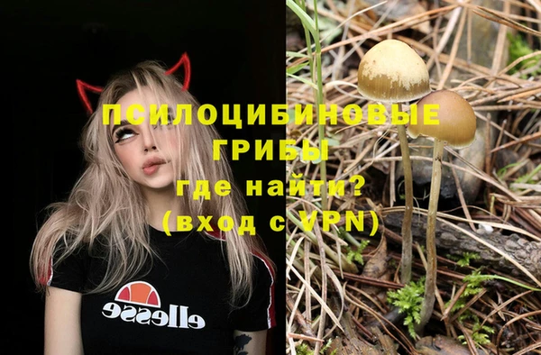 ECSTASY Баксан