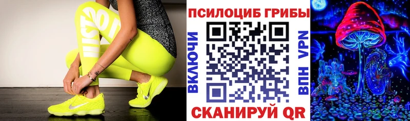 Псилоцибиновые грибы Magic Shrooms  Купить где  Льгов 